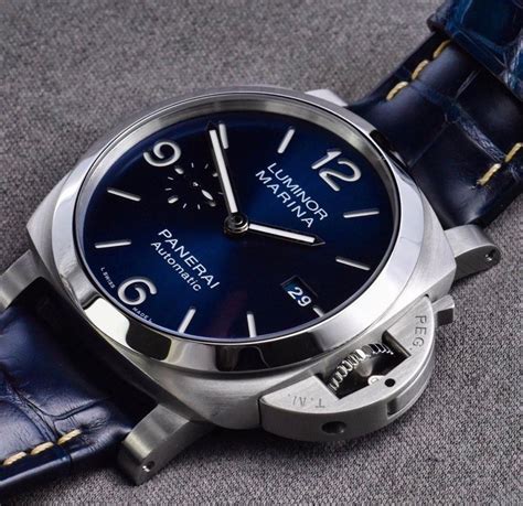pam 01313